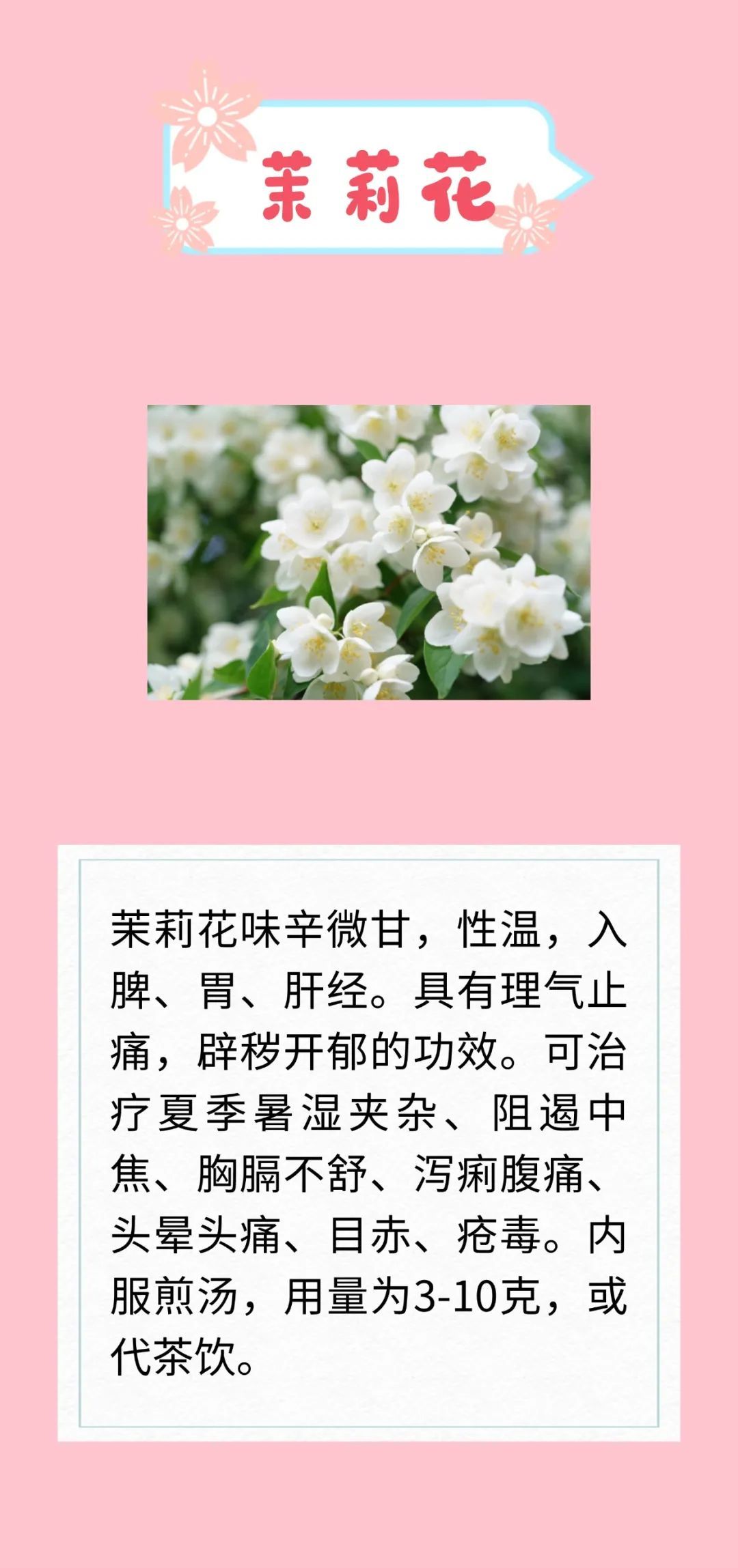 天热又闷还潮湿？开窗易感冒、吃不对拉肚子？解暑花类中药来支招啦～