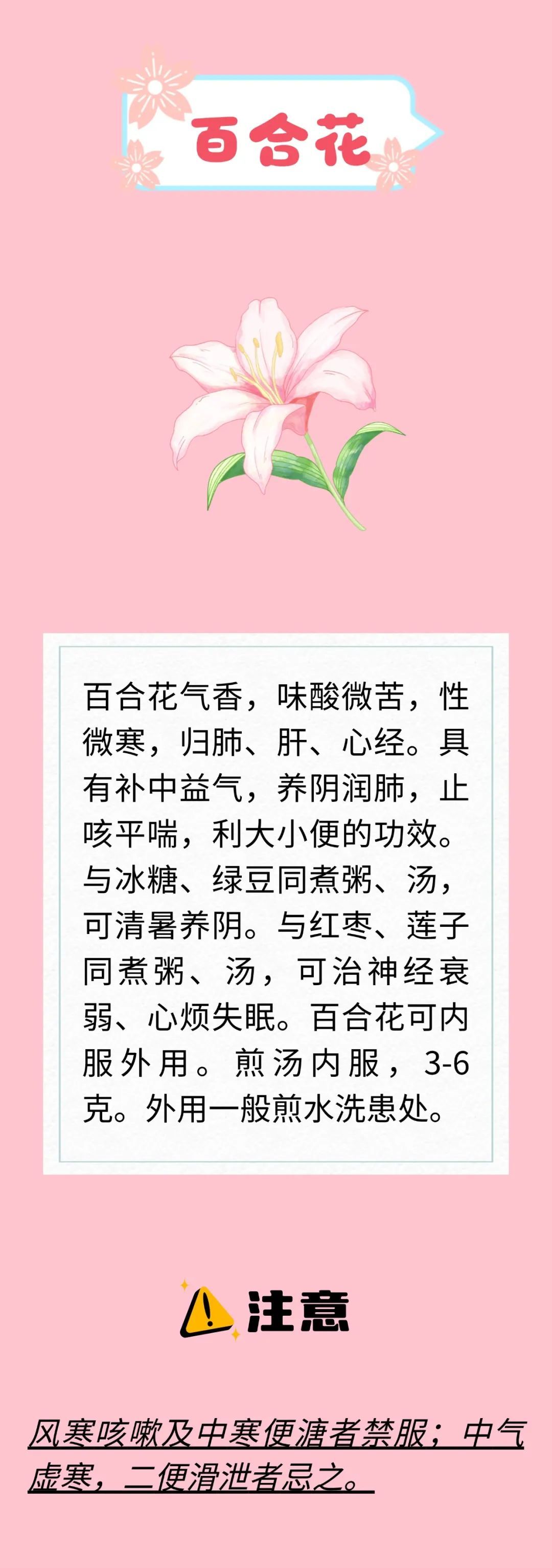天热又闷还潮湿？开窗易感冒、吃不对拉肚子？解暑花类中药来支招啦～