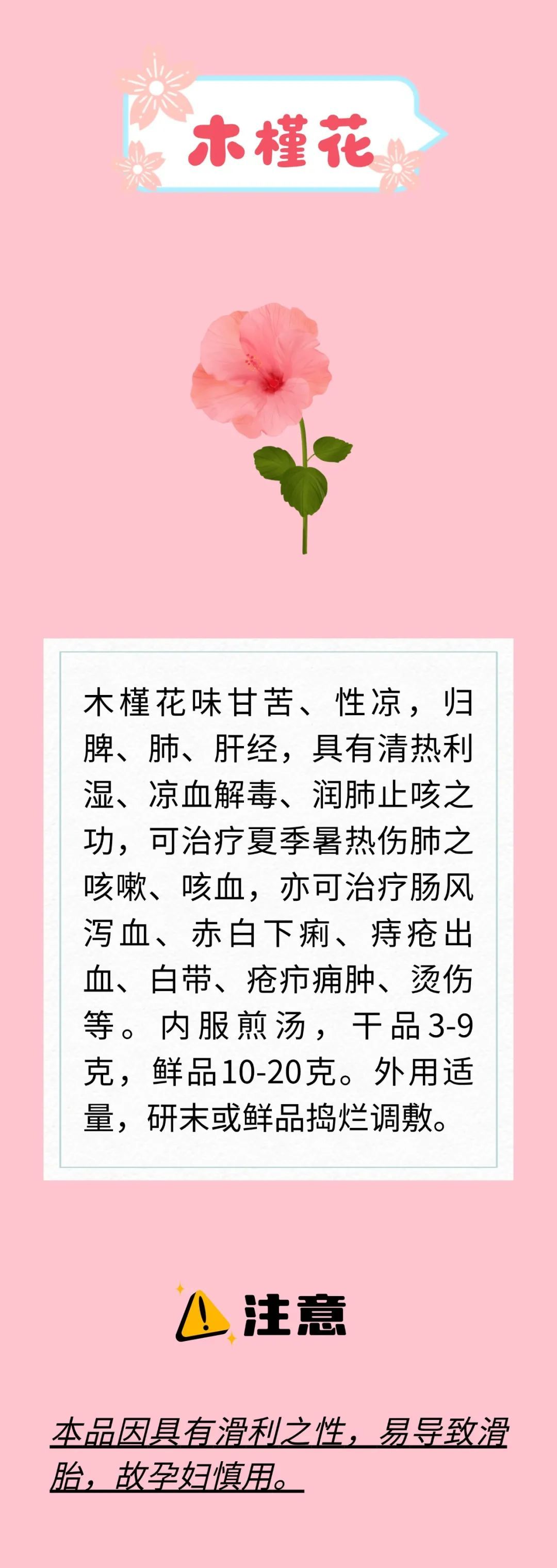 天热又闷还潮湿？开窗易感冒、吃不对拉肚子？解暑花类中药来支招啦～