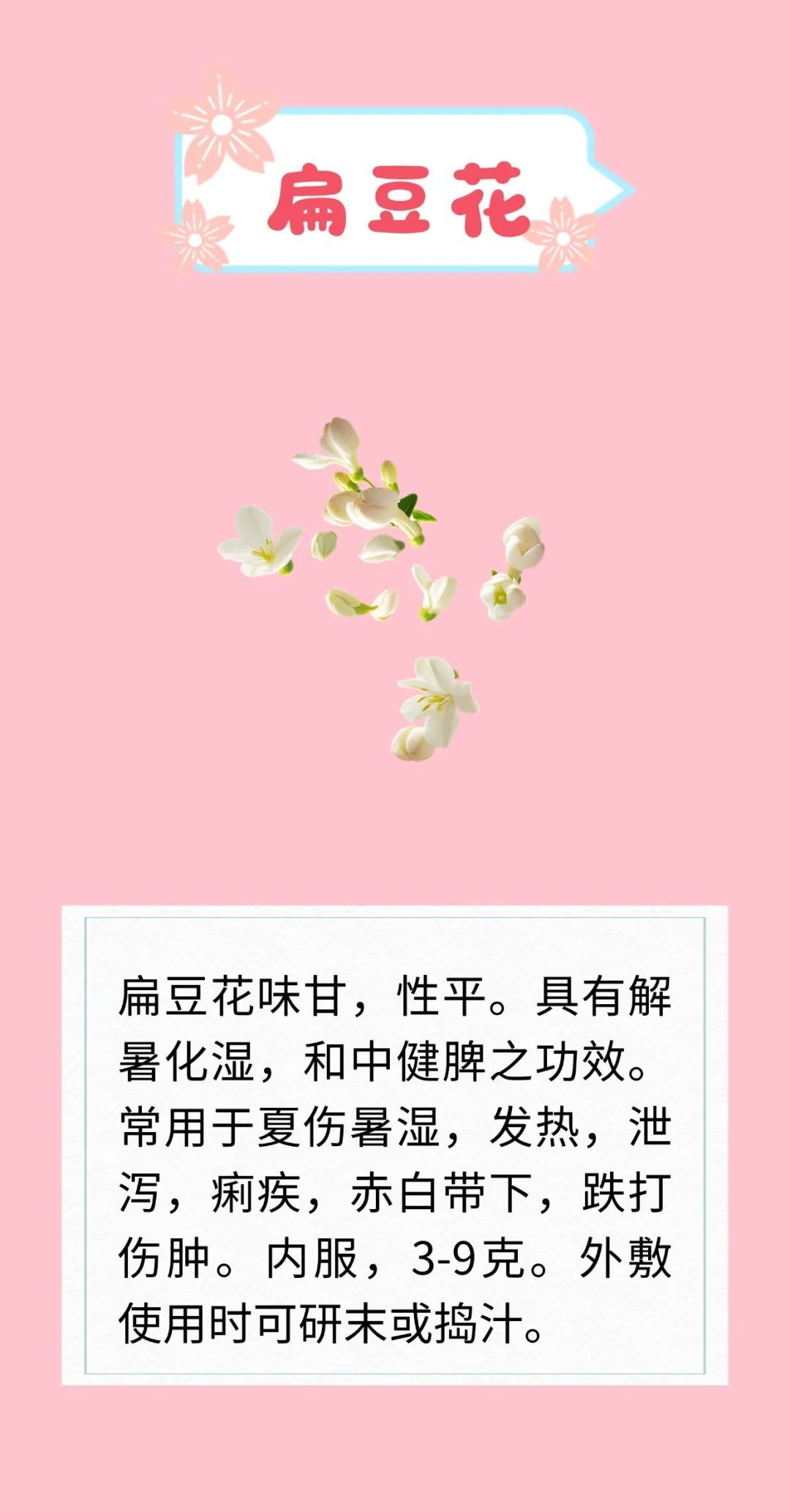 天热又闷还潮湿？开窗易感冒、吃不对拉肚子？解暑花类中药来支招啦～