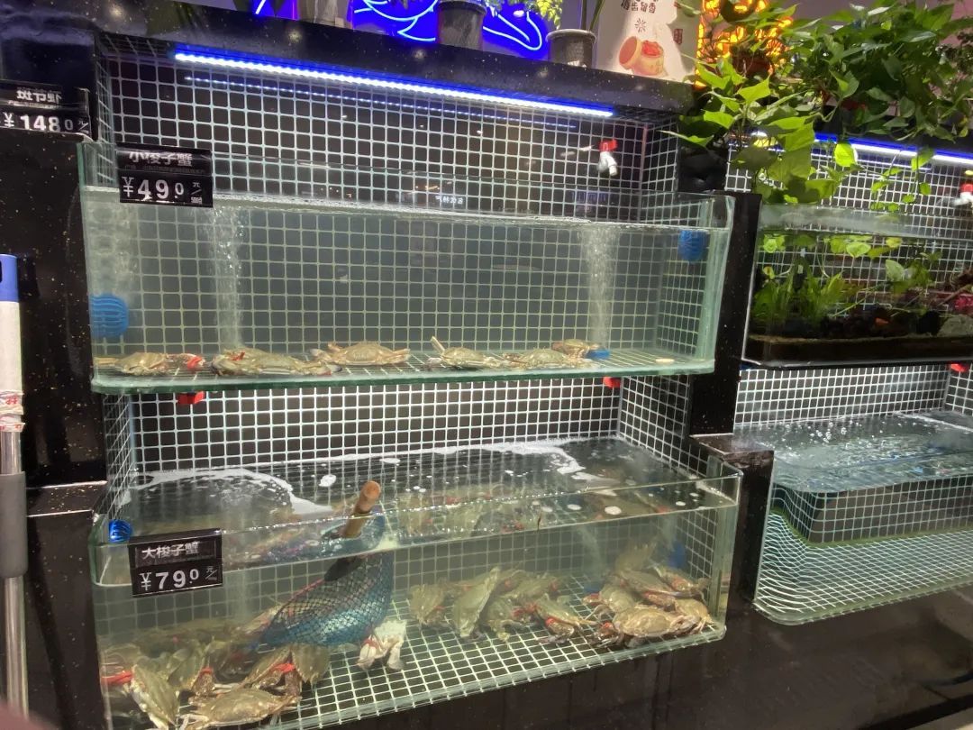 大降价，还要跌！合肥已大量上市