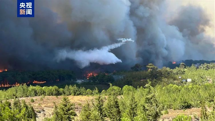 受森林火灾影响 土耳其达达尼尔海峡单向封航 受森林火灾影响 土耳其达达尼尔海峡单向封航