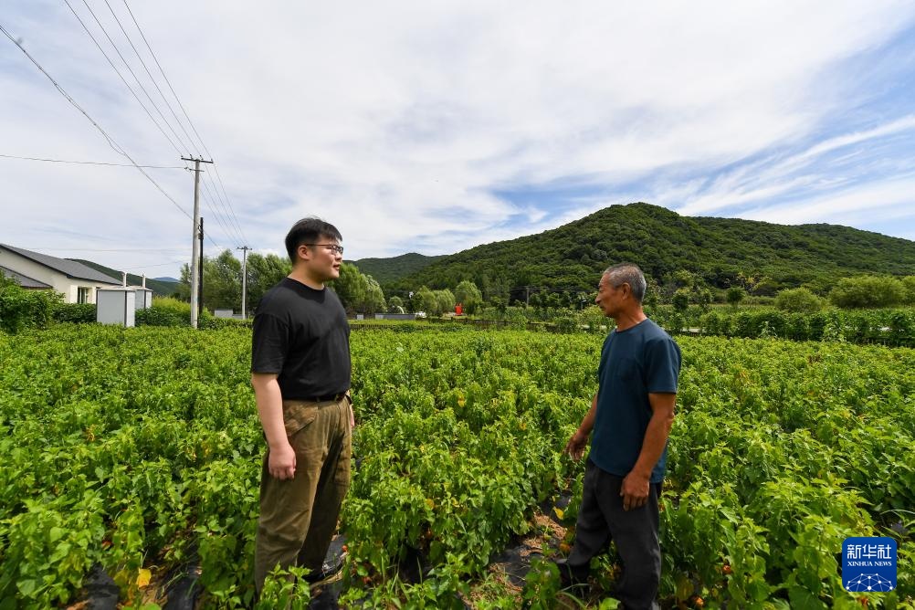 杨靖宇将军曾孙马铖明：赓续红色血脉 以实干传承先辈精神