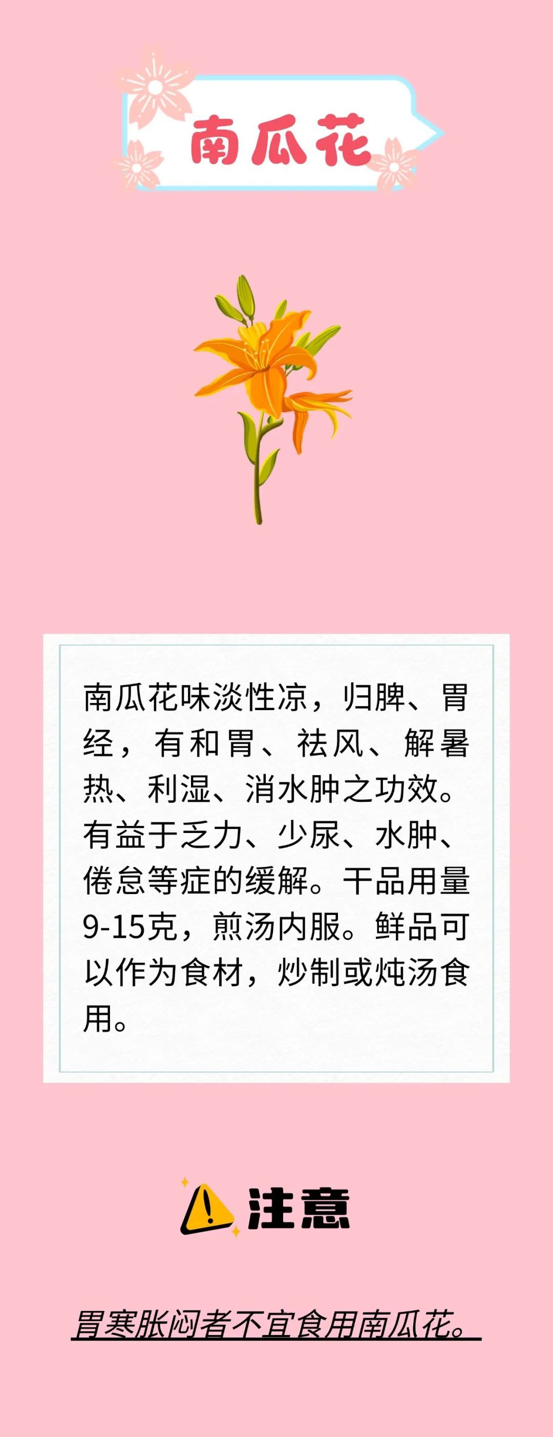 天热又闷还潮湿？开窗易感冒、吃不对拉肚子？解暑花类中药来支招啦～