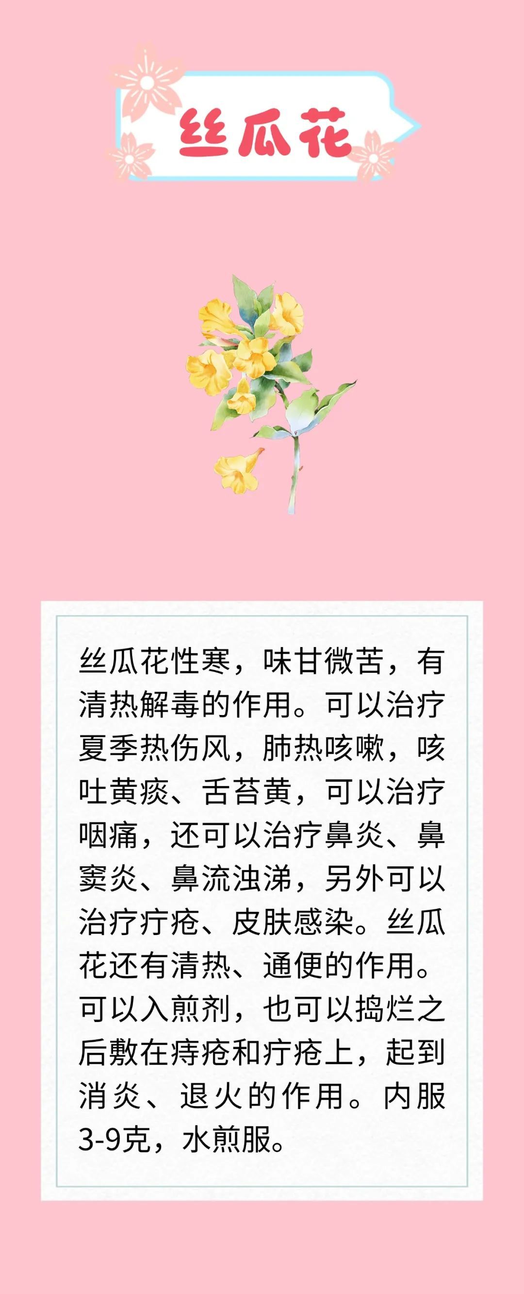 天热又闷还潮湿？开窗易感冒、吃不对拉肚子？解暑花类中药来支招啦～