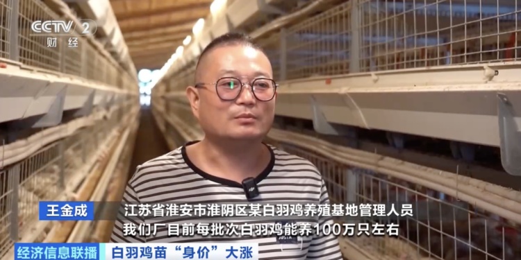 价格暴涨300%！它，从“没人要”到“买不到”