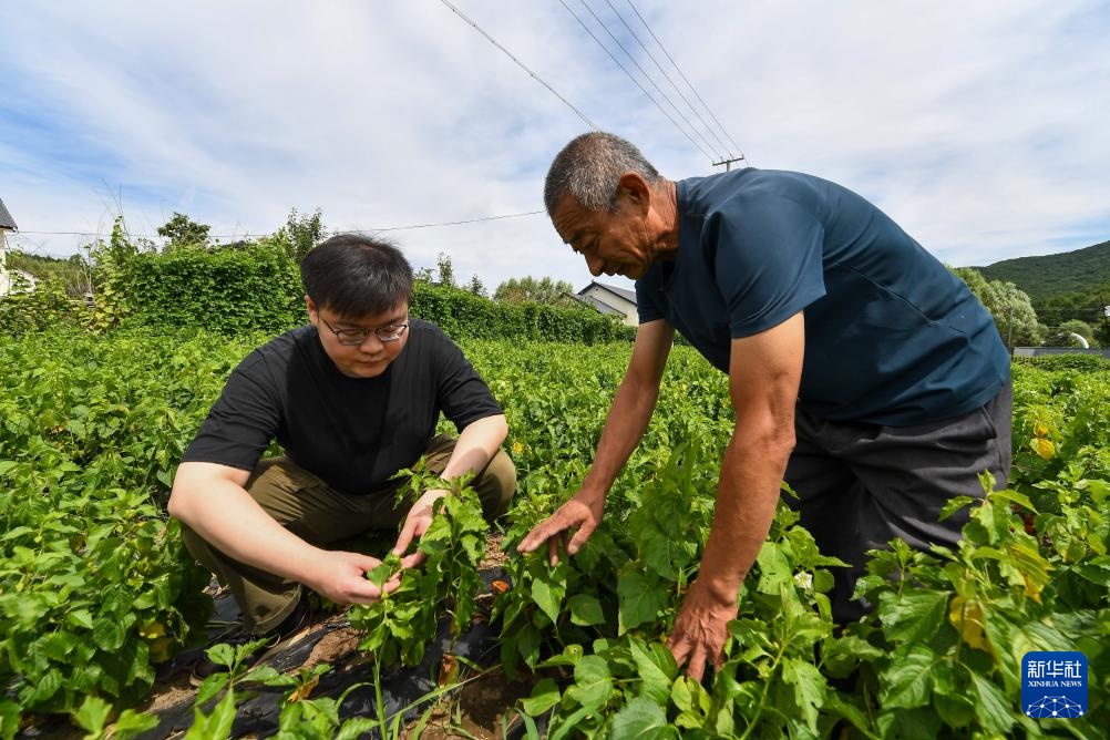 杨靖宇将军曾孙马铖明：赓续红色血脉 以实干传承先辈精神