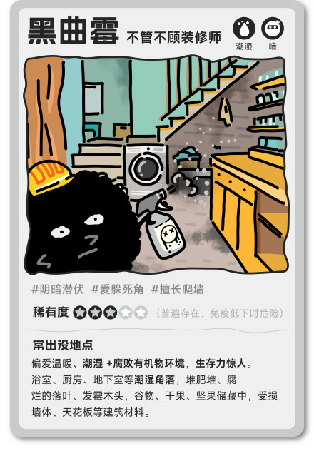 家里这些菌是真能招病 快查查你家有没有