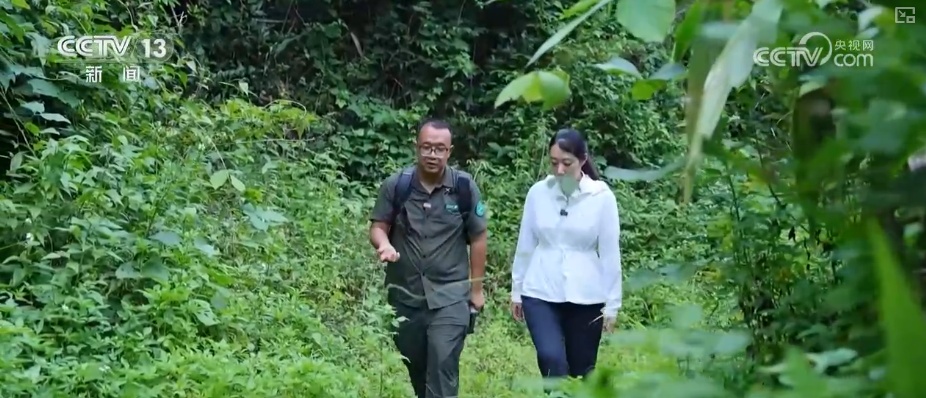 “短鼻家族”奇幻之旅温暖世界 从出圈到归巢看“象”往家园的“美好生活”