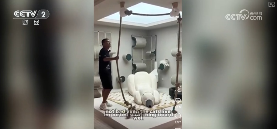 买！买！买！国产家具凭“硬核产业链+高时效交货服务+过硬产品”圈粉海外消费者