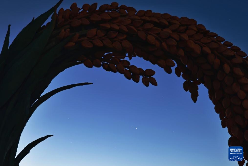 星空相册｜金星、木星“结伴”游天宇