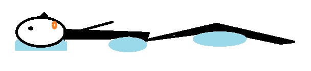 紧急提醒!这种睡姿,正在毁掉你的脊椎! 紧急提醒!这种睡姿,正在毁掉你的脊椎!