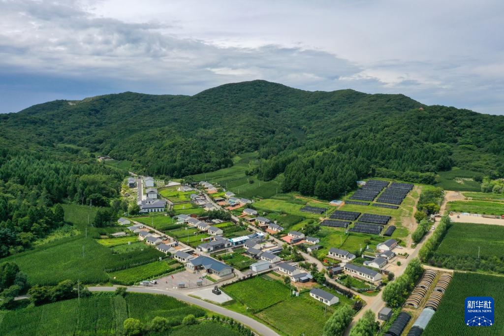 杨靖宇将军曾孙马铖明：赓续红色血脉 以实干传承先辈精神