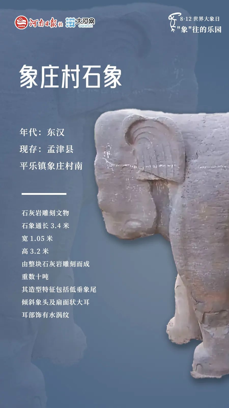 河南，曾是“象”往的乐园