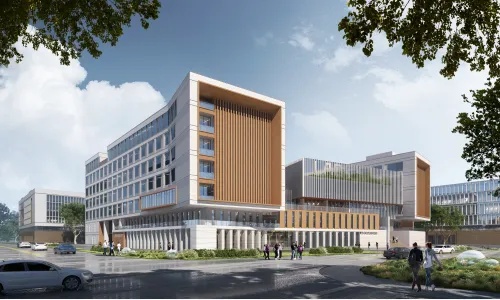 七旬老人独自进京,只为求证“这种植物是不是野生的原始旱稻” 七旬老人独自进京,只为求证“这种植物是不是野生的原始旱稻”