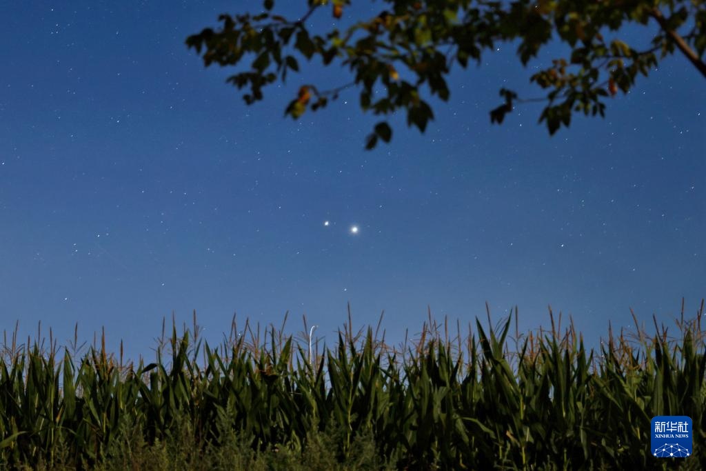 星空相册｜金星、木星“结伴”游天宇