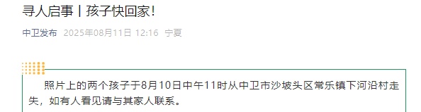 宁夏两名儿童走失！5岁女童遗体被发现，4岁男童仍在搜救中