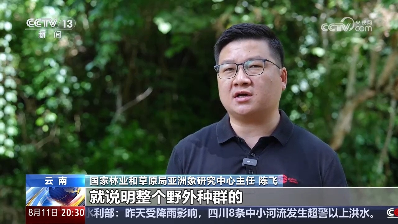 记者重访北上南归的“短鼻家族”