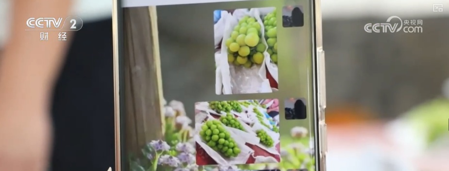 淡季不淡,创新高!物流“加速跑” 多元消费场景助推电商物流总业务量提升 淡季不淡,创新高!物流“加速跑” 多元消费场景助推电商物流总业务量提升