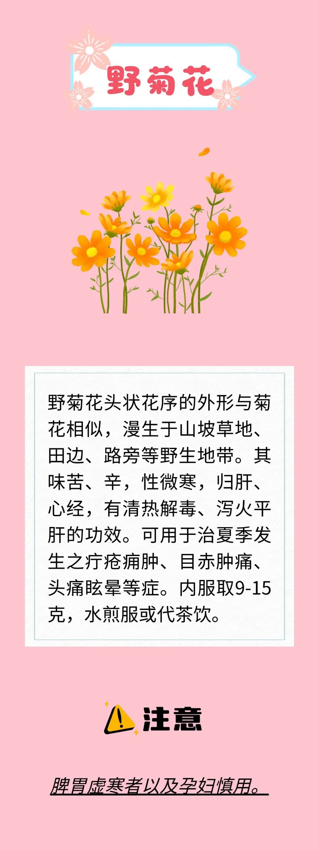 天热又闷还潮湿？开窗易感冒、吃不对拉肚子？解暑花类中药来支招啦～