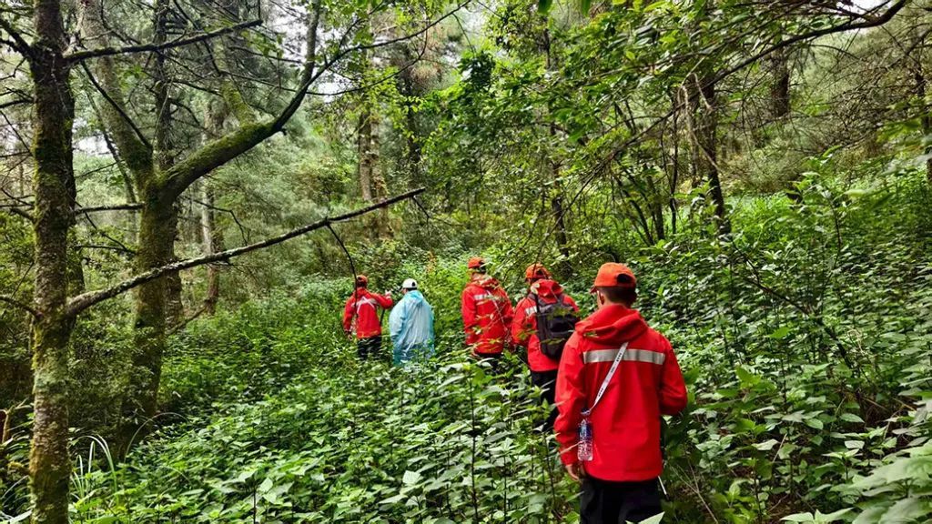 8岁自闭症男孩参加夏令营失联3日，暴雨如注！涉事机构被调查