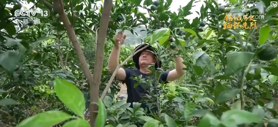 抗日根据地·今昔巨变丨革命老区产业兴旺焕新生 民生不断改善