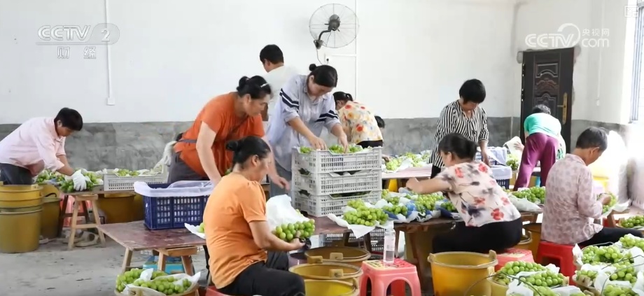 淡季不淡,创新高!物流“加速跑” 多元消费场景助推电商物流总业务量提升 淡季不淡,创新高!物流“加速跑” 多元消费场景助推电商物流总业务量提升