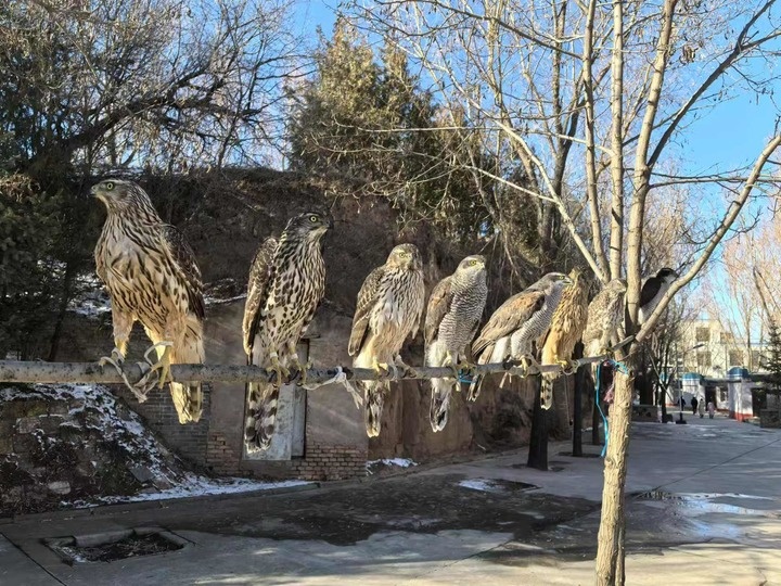 当心！这些“爱好”撞上法律红线了→