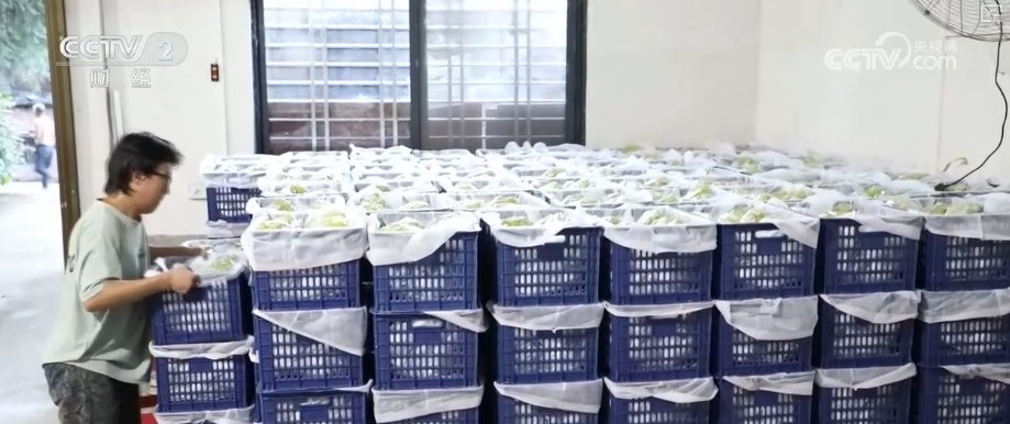 淡季不淡,创新高!物流“加速跑” 多元消费场景助推电商物流总业务量提升 淡季不淡,创新高!物流“加速跑” 多元消费场景助推电商物流总业务量提升