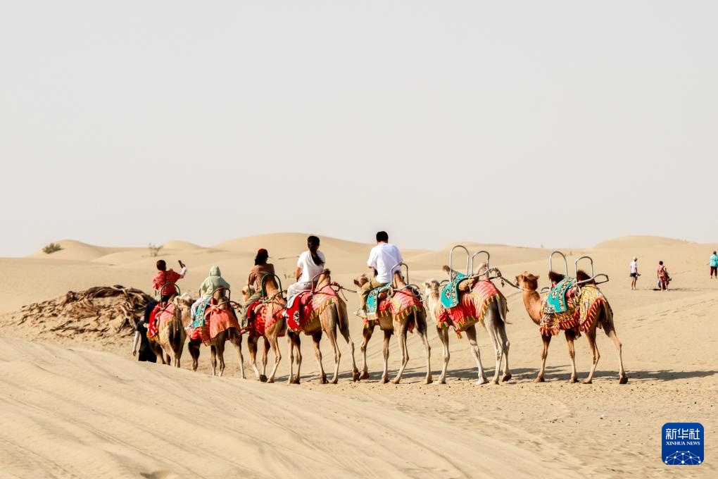 新疆阿拉尔：打造“沙漠之门”旅游新名片