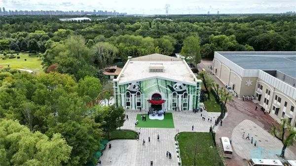 大熊猫转运：从机舱到大熊猫馆，守护“无缝衔接”