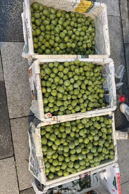 9.8元蜂糖李竟是冒牌货