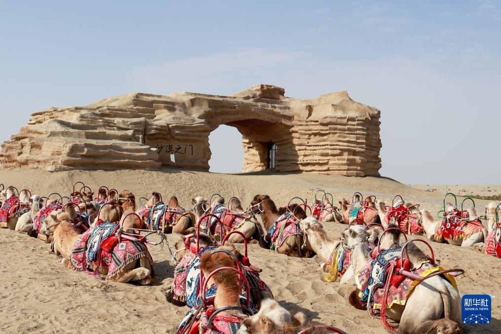 新疆阿拉尔：打造“沙漠之门”旅游新名片