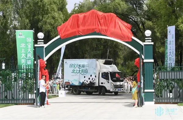 大熊猫转运：从机舱到大熊猫馆，守护“无缝衔接”