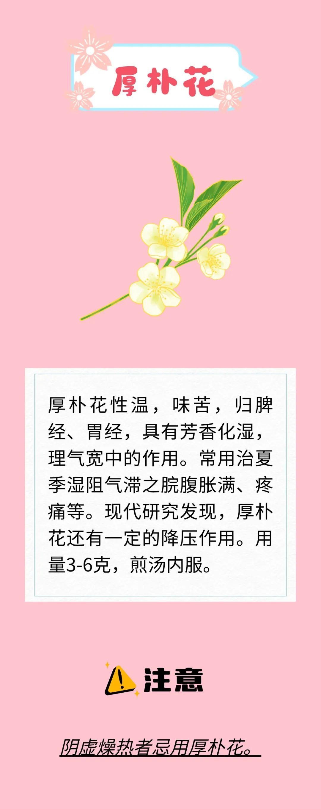 天热又闷还潮湿？开窗易感冒、吃不对拉肚子？解暑花类中药来支招啦～