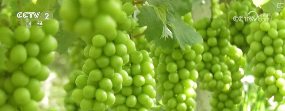 淡季不淡,创新高!物流“加速跑” 多元消费场景助推电商物流总业务量提升 淡季不淡,创新高!物流“加速跑” 多元消费场景助推电商物流总业务量提升