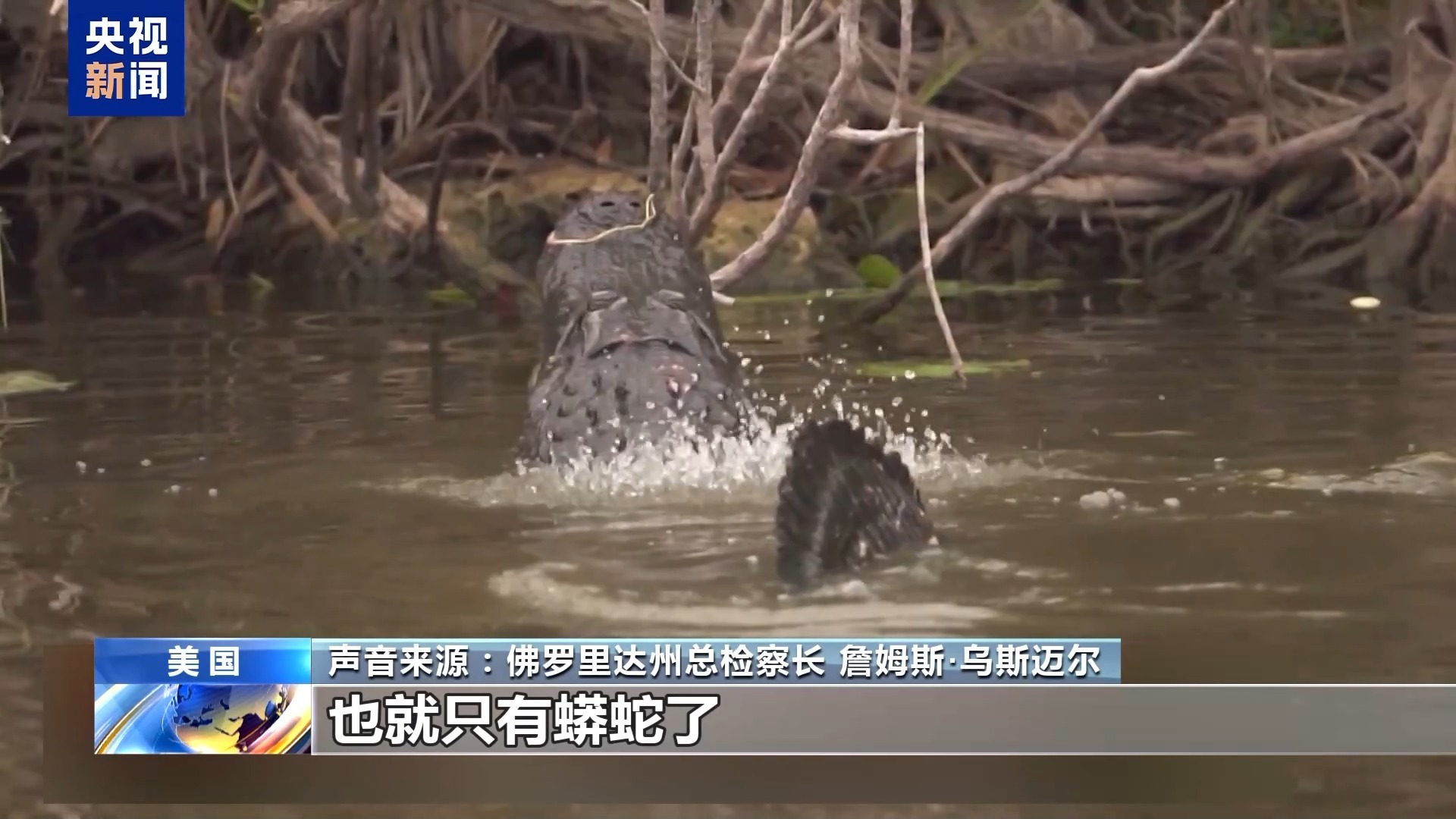 美民众和被拘留者家属抗议 要求关闭“鳄鱼恶魔岛” 美民众和被拘留者家属抗议 要求关闭“鳄鱼恶魔岛”