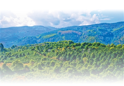 种好小豆子 &nbsp;蹚出好路子