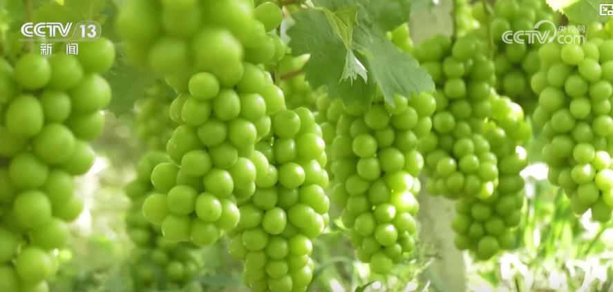 淡季不淡！7月份电商物流指数112.0点 再创年内新高