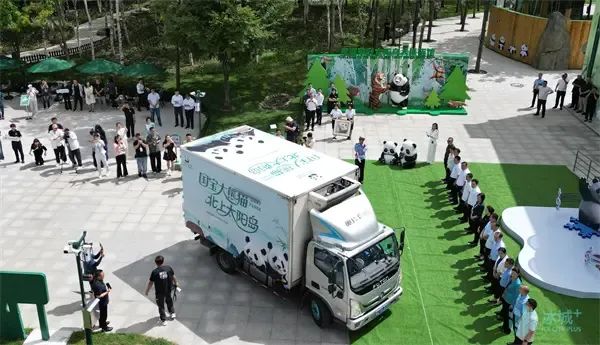 大熊猫转运：从机舱到大熊猫馆，守护“无缝衔接”