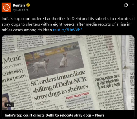 数千万流浪狗肆虐全国，大量儿童被咬，印度法庭下令：必须整治！