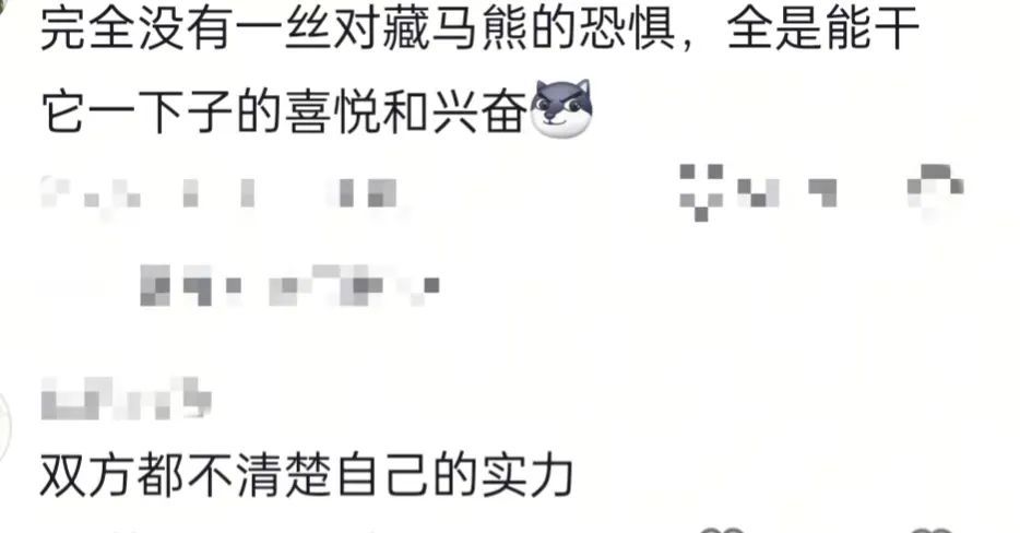 西藏那曲有熊入室，当地回应：偶发事件，投喂或导致野生熊主动靠近