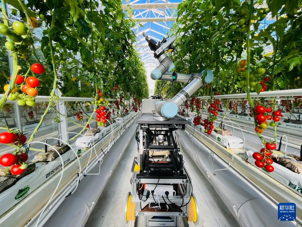 首台全流程智能育种机器人亮相 首台全流程智能育种机器人亮相