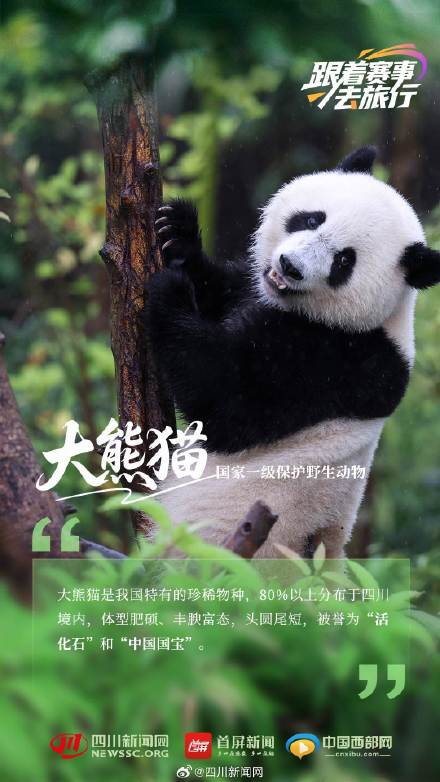 动物界"国家队" 带你见不一样的四川