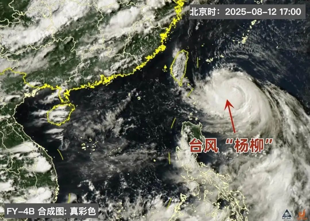 “杨柳”加强为强台风级！广东局地将迎特大暴雨