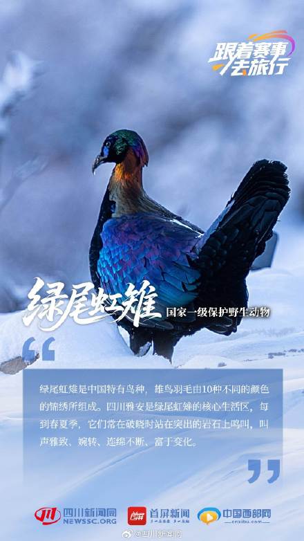 动物界"国家队" 带你见不一样的四川