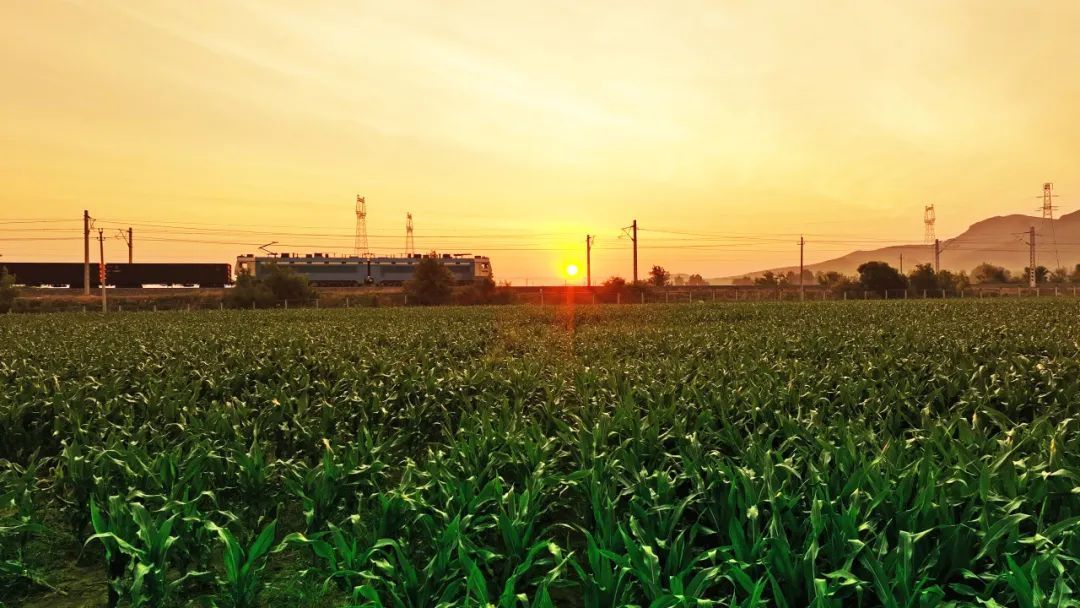 壁纸来袭！看火车行驶在草原“画廊”