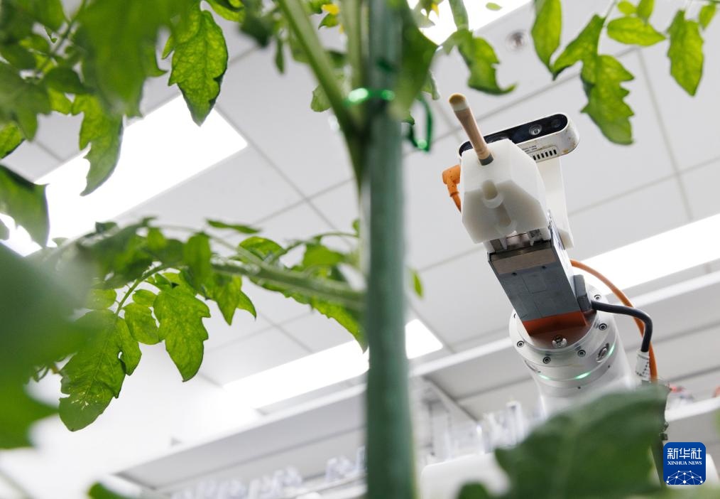 首台全流程智能育种机器人亮相 首台全流程智能育种机器人亮相