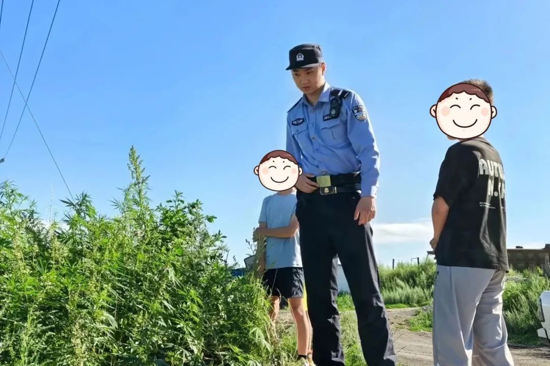 萌娃化身“禁毒小侦探”！街头识出可疑植物果断报警