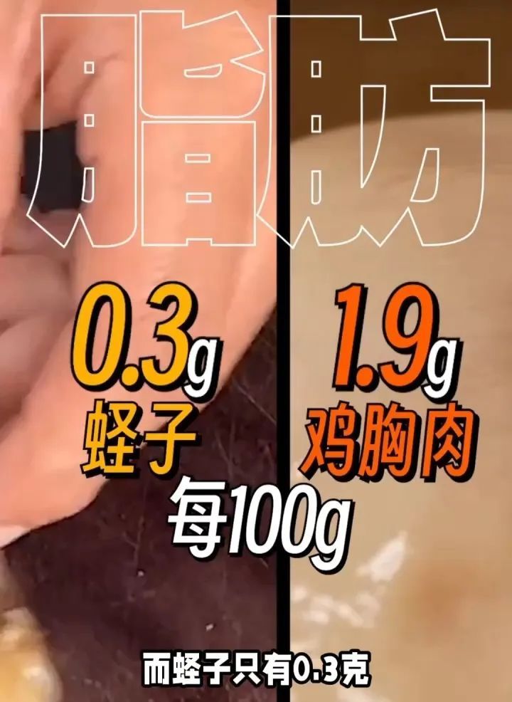 现在吃最鲜美!这一天选“减肥搭子”比鸡胸肉还低脂 现在吃最鲜美!这一天选“减肥搭子”比鸡胸肉还低脂